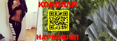 прущие грибы Усть-Джегута