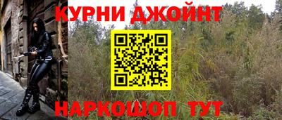 прущие грибы Усть-Джегута