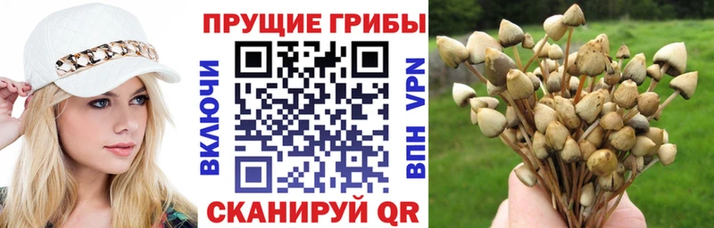 мориарти состав  Мончегорск  Псилоцибиновые грибы Psilocybe  MEGA tor 