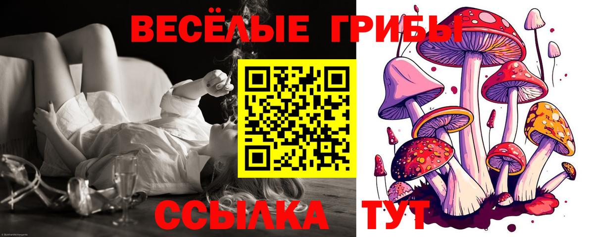 Галлюциногенные грибы Cubensis  Псилоцибиновые грибы мухоморы  Мончегорск  Вход с VPN 